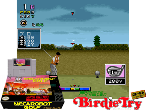 Serizawa Nobuo no Birdie Try (J) Cover